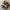 Adjustable Strappy Sandals for Men - Slingback Buckle Closure - Multi-Strap Contoured Footbed - Image 3