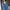 Knit V-Neck Sweater for Women - Long Sleeve - Image 5
