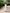 Maxi Halter Dress for women - Sleeveless A-Line - Side Slit Casual - Image 3