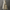 Oversized Hooded Coat for Women - Button Front - Image 3
