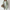 Oversized Cardigan Sweater for Women - Long Sleeve - Image 1
