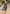 Floral Midi Dress for Women - Puff Sleeve A-Line - Image 10