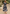 Floral Midi Dress for Women - Puff Sleeve A-Line - Image 16