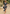 Floral Midi Dress for Women - Puff Sleeve A-Line - Image 9