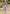 Floral Midi Dress for Women - Puff Sleeve A-Line - Image 2