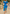 Floral Midi Dress for Women - Puff Sleeve A-Line - Image 7