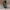 Long Puffer Vest for Women - Hooded - Image 1