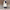 Long Puffer Vest for Women - Hooded - Image 2