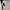 Long Double-Breasted Coat for Women - Oversized - Image 2