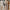 Double Breasted Long Coat for Women - Notched Lapel - Image 1