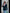 Blazer Jacket for Women - Fitted - Image 6