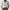 Button-Down Long Sleeve Shirt for Men - Regular Fit - Image 4
