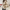 Sherpa Aviator Jacket for Women - Full Zip Closure - Image 4