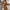 Teddy Long Coat for Women - Button Front - Image 2