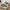 Chunky Platform Sneakers for Women - Panelled Design - Image 3