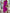 One Shoulder Pleated Midi Dress for Women - Rose Detail A-Line - Image 10