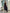 One Shoulder Pleated Midi Dress for Women - Rose Detail A-Line - Image 7