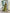 One Shoulder Pleated Midi Dress for Women - Rose Detail A-Line - Image 3