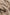 Sherpa Zip-Up Jacket for Women - High Collar - Image 4