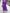Wrap Midi Dress for Women - V-Neck Belted - Image 4