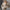 Belted Trench Coats for Women - Cropped Coat - Image 2
