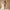 Strapless Wide Leg Jumpsuit for Women - High Waisted Pockets - Image 7