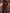 Long Hooded Teddy Coat for Women - Relaxed Fit - Image 9