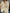 Knit V-Neck Cardigan for Women - Button Front - Image 1