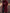 Long Hooded Teddy Coat for Women - Relaxed Fit - Image 8