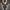 Shearling Aviator Jacket for Women - Long Sleeve - Image 4