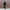 Aviator Jacket for Women - Belted - Image 8