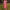 Floral Maxi Dress for women - Wrap Waist Empire Waist - Short Sleeve V-Neck - Pleated Skirt - Image 7