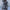 Long Oversized Coat for Women - Notched Lapel - Image 4