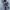 Long Oversized Coat for Women - Notched Lapel - Image 1